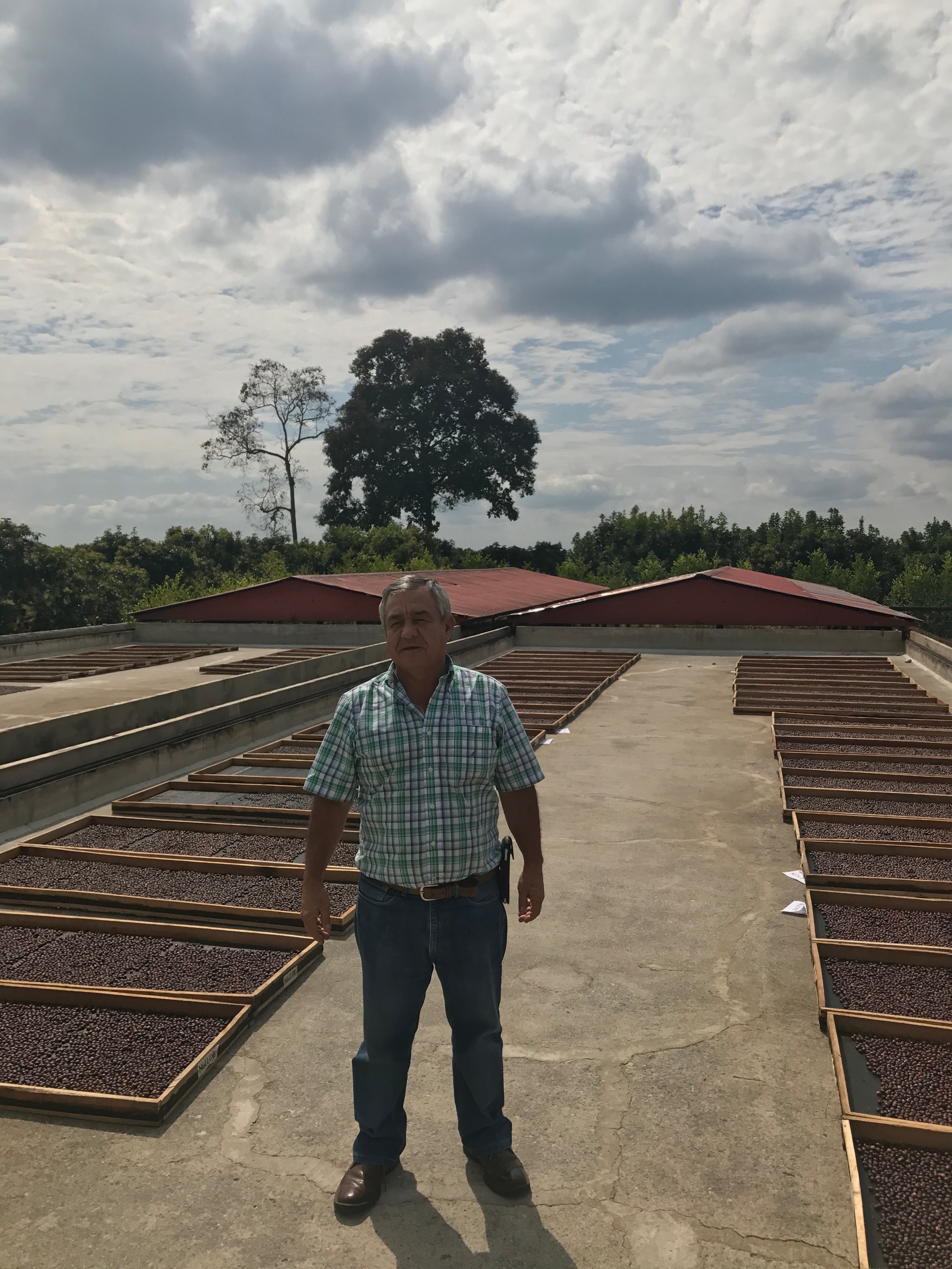 Colombia - Jairo Arcila - Honey Peach Co-Fermentation