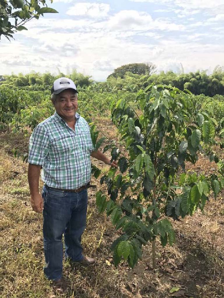 Colombia - Jairo Arcila - Honey Peach Co-Fermentation